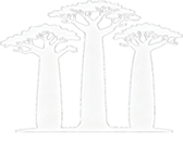 马达加斯加旅游攻略