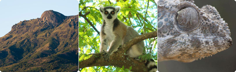 马达加斯加国家公园