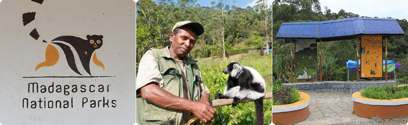 马达加斯加国家公园导游