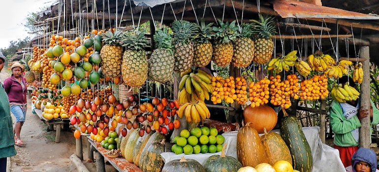 马达加斯加水果