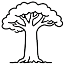 马达加斯加猴面包树