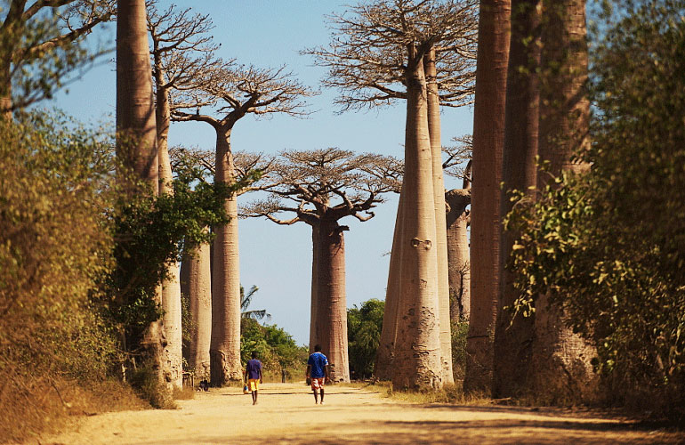马达加斯加通讯和电话卡办理