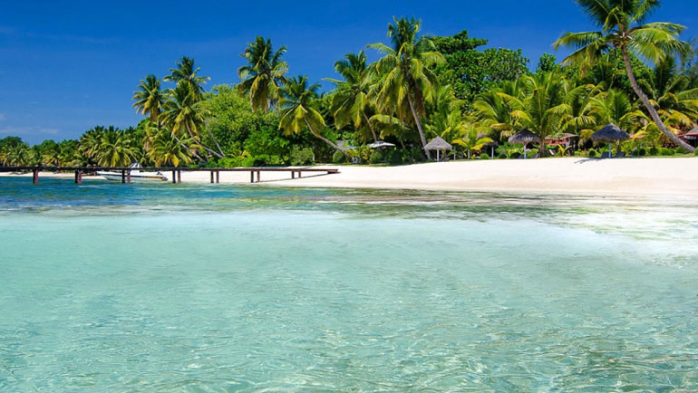 圣玛丽岛除了观鲸还是潜水好去处哦